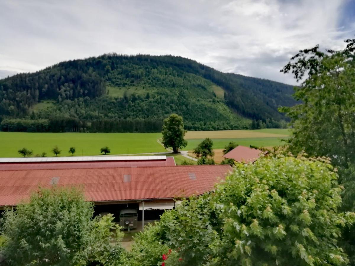 Ferienwohnung Erni Feldkirchen in Kärnten Buitenkant foto